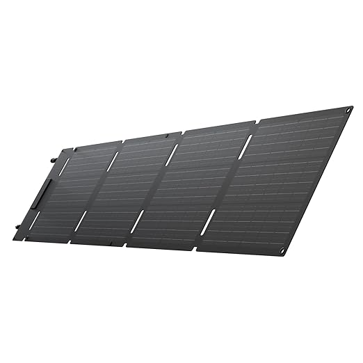 ECOFLOW 60W Portable Solar Panels